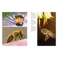 thumbnail image 5 of Animals in Photographs Bees: Heroes of the Garden, (Hardcover), 5 of 6