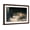 Brown Frame, variant on Art.com Daniel in the Lions Den, Mezzotint by J. B. Pratt, with Hand Colouring Stretched Canvas Print Wall Art by Briton Rivi?re, 18" x 12"