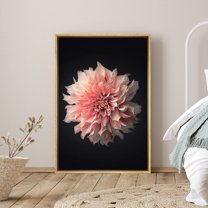 PixonSign Framed Canvas Print Wall Art Pink and White Dahlia Close-Up Botanical Plants Photography Modern Art Contemporary Dramatic Multicolor Ultra for Living Room, Bedroom, Office - 16"x24" Natural