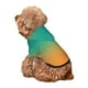 thumbnail image 5 of Fotbe Orange To Teal Gradient1 Sudadera con Estampado para Perros Pequeños – Suéter con Capucha para Mascotas, Tela Suave de Forro Polar con Bolsillo-Small, 5 of 7