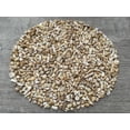 thumbnail image 4 of WHOLESALE Natural Semi Tumbled White Bamboo Coral Gemstone Chips ( 2 oz / 0.125 lb ), 4 of 8