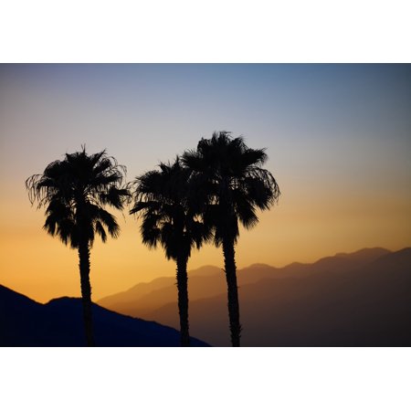 Silhouette of three palm trees at sunset with layers of mountains silhouetted in the background Palm Springs California United States of America Poster Print by Ian Grant  Design