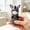 B, variant on Voice Activated Press Button Fidget Toys Monkey Donkey Cow Mechanical Stress Relief Desk Ornaments for Kids Adults,D