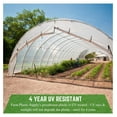 thumbnail image 3 of YOSITiuu - Clear Greenhouse Plastic Sheeting - 6 mil - (16' x 28') - 4 Year UV Resistant Polyethylene Greenhouse Film, Hoop House Green House Cover for Gardening, Farming, Agriculture, 3 of 7