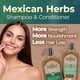 thumbnail image 2 of Set de champú y acondicionador Tio Nacho Mexican Herbs 400 ml, 2 of 6