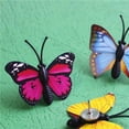 thumbnail image 4 of 30pcs Colorful Butterfly Push Pins for Office, Classroom, and Home Decorations,  Durable, Cute, and Lifelike, Great for Photos, Schedules, 4 of 10