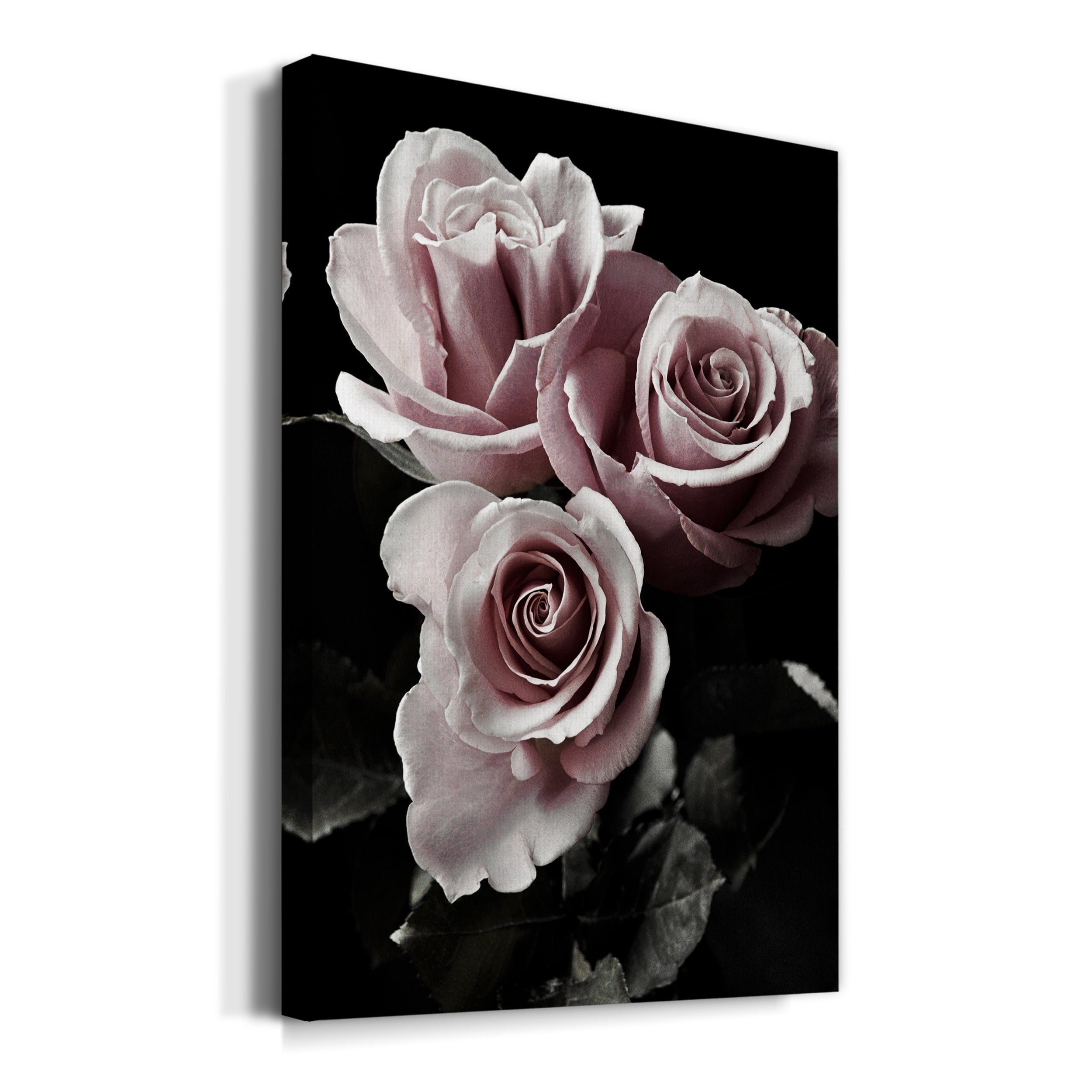 Rose Noir I Premium Gallery Wrapped Canvas - Ready to Hang - 40 x 60