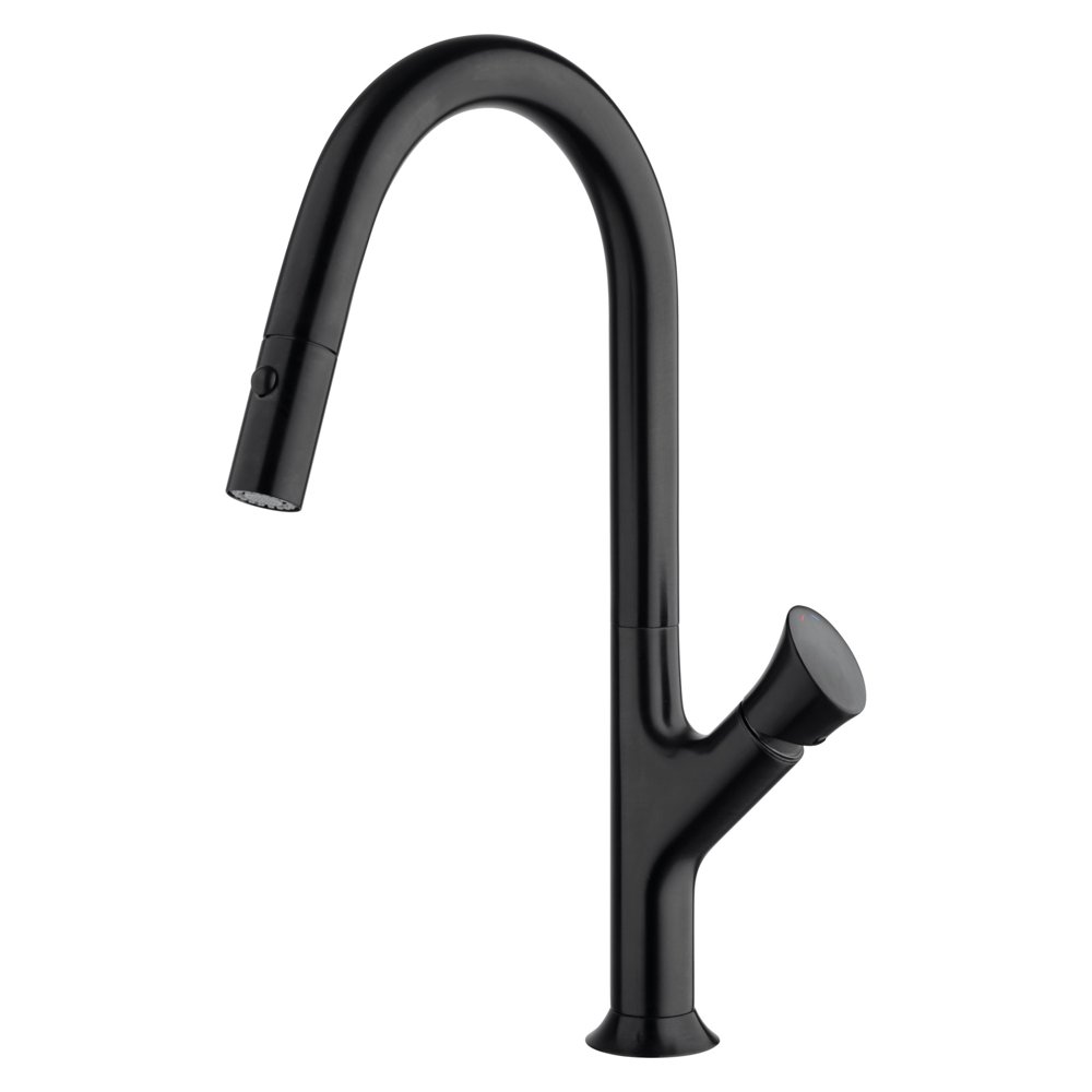 Fortis 6459100 Kitchen 1.8 GPM Single Hole Pull Down Kitchen Faucet