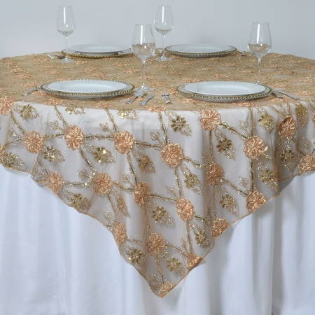 Lace Overlay (BalsaCircle 72