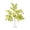 C, variant on Chmadoxn Green Leaf Birch Tree with LED Lights, Artificial Tree Lamp, DIY Birch Tree with LED Lights, Lighted up Tree Lamp Battery Powered, Light Spirit Tree for Table Home Wedding Bedroom Christmas