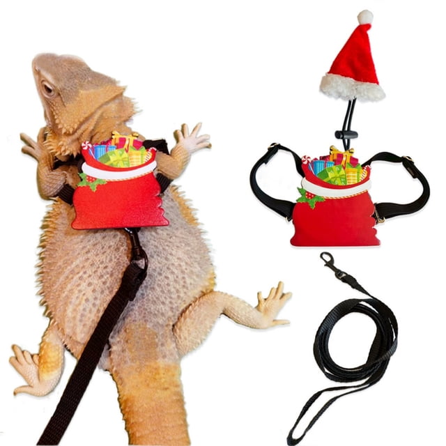 BotaniNest Leash With Adjustable Harness And Adorable Hat Costume For Walking Adventure Comfortable Breathable Escape Proof Design