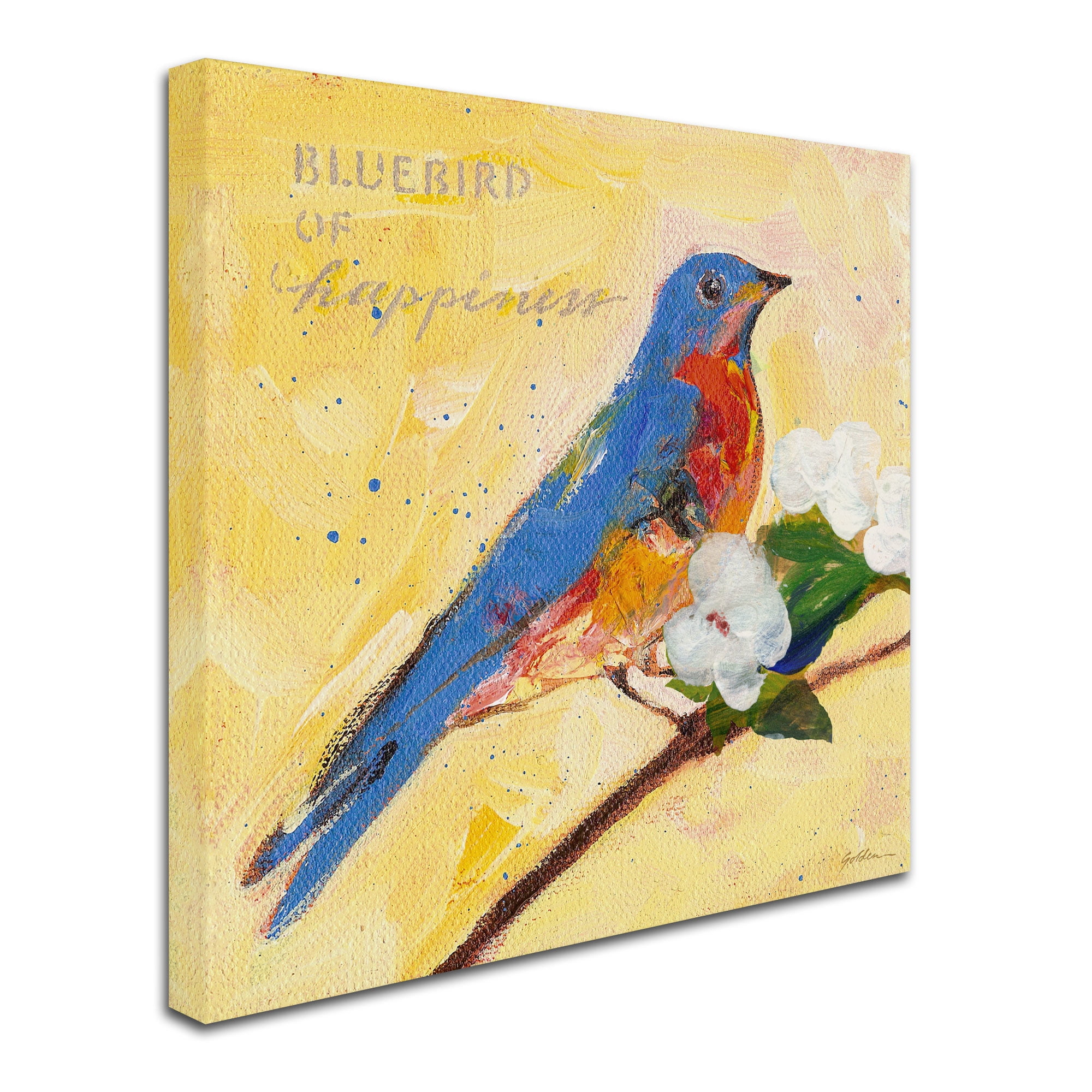 Trademark Fine Art "Bluebird" Canvas Art by Sheila Golden