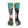 thumbnail image 2 of My Hero Academia Tsuyu Asui Womens Knee High Socks Casual Long Stockings 20 Inches Tube Socks Boot Midcalf Stocking, 2 of 8
