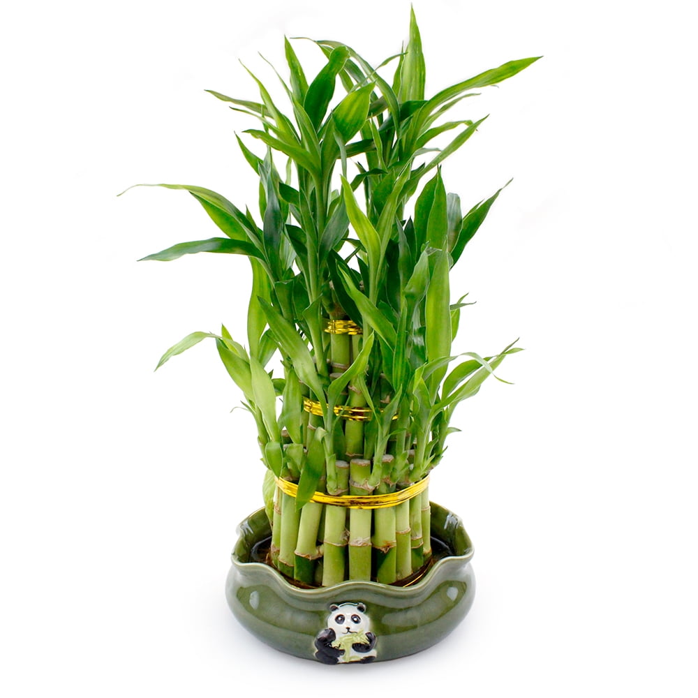 Set of 4 Green Fluted Round Biodegradable Bamboo Fiber Planters 