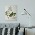 thumbnail image 2 of Stupell Home Décor Botanical Plant Illustration Leaves Vintage Design Canvas Wall Art by Unknown, 2 of 6