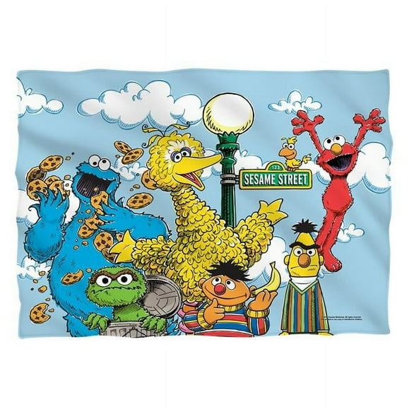 Sesame Street Retro Gang Pillow Case (White, 20x28)