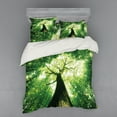 thumbnail image 2 of Ambesonne Landscape Bedding Set 3 Pcs, Summer Rays in Wild, Twin XL, Green, 2 of 3