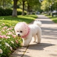 thumbnail image 6 of Yardvibe Anti Eating Cover for Small Dogs & Cats, Dog Head Protector, Cat Face Guard Head Net, Mesh Snood Prevent Foxtails Thorns Sticks Rocks (Pink), 6 of 6