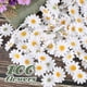 thumbnail image 3 of 100pcs Artificial Daisy Gerbera Heads Fake Flower Decorative Silk Plant For Home, 3 of 4