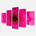 thumbnail image 2 of Macro Photo of Gerbera Flower - Flowers Canvas Wall Artwork, 2 of 3