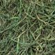 thumbnail image 2 of Rabbit Hole Hay Heno Timothy Suave 340 g, 2 of 3