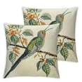 thumbnail image 2 of Acheng Decorative Throw Pillow Covers Couch Square Pillowcases Cushion for Bedroom Sofa Farmhouse Decor ,2 pcs(Hummingbird) White, 2 of 6