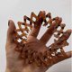 thumbnail image 4 of 7 Pack Bird Nest Shaped Hair Clips Hair Claw, Ponytail Hairpin Curling Fashion Women's Bird Expanding Crystal Tail Hair, Spiral Hair Ties, 4 of 5