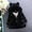 Black, variant on FAIWAD Toddler Girls Winter Fleece Plush Coat Kids Hooded Fuzzy Thicken Warm Outwear Jackets
