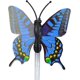 thumbnail image 2 of 10 Pcs Butterfly-luminous Led Hairpin Lights, Flashing Led Light Up Toys, Barrettes For Party, Bar Dancing Hairpin, Light Up Hair Accessories (random, 2 of 5