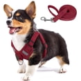 thumbnail image 1 of Dog Harness, Dog Harness Small Breed, Pet Harness with A Easy Control Leash, Easy Walk Pet Harness and No Choke Vest Harness for Medium or Small Breeds, 1 of 6