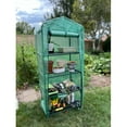thumbnail image 2 of Mini 4-Tier Greenhouse for Indoor or Outdoor Gardens―65”x27.5”x19.5”―Sturdy Portable Gardening Shelves with Reinforced Polyethylene Cover―Roll-up Zipper Door―Small Green House for Plants and Flowers, 2 of 7