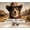 Color 2, variant on Geometric Tribal Western Earthy Tones Symmetrical Patterns Peel and Stick Wall Murals 69"H x 96"W Removable PVC Wallpaper Self-Adhesive Wall Paintings for Bedroom Living Room