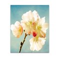 thumbnail image 1 of Manta DIY con flores para otoño e invierno, cálida manta para sofá, manta de aire acondicionado de doble cara con impresión HD, 1 of 6