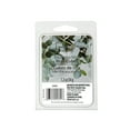 thumbnail image 1 of MAINSTAYS EUCALUPTUS MINT SCENTED WAX MELTS, 1 of 1