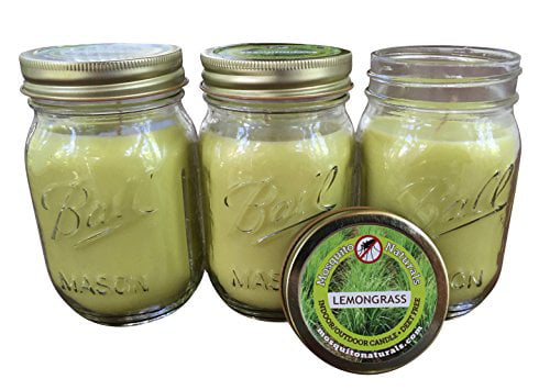 Citronella Candles Outdoor 12 Pack Scented Candles Set with Citronella Oil for Garden Patio Yard Lemongrass Aromatherapy Candles for Indoor Home Kitchen Bedroom Natural Soy Candles Air Cleansing