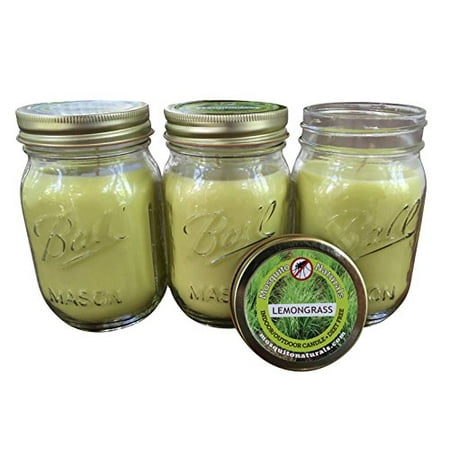 Natural Lemongrass, Citronella Mosquito Repellent Candle (Set of 3) Indoor/Outdoor -88 Hour Burn- Naturally Repels Insects with Essential Oils, Soy Base, Ball Mason Jar, Made in USA, Mosquito (Best Way To Burn Sage)