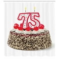 thumbnail image 3 of Ambesonne Birthday Shower Curtain, Cake 75, 69"Wx84"L, Multicolor, 3 of 3