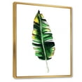 thumbnail image 3 of Designart 'Single Banana Leaf On White' Bohemian & Eclectic Framed Canvas Wall Art Print, 3 of 5