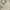 Ivory/Grey, variant on Nourison Scandinavian Shag Contemporary Grey/Ivory 4' x 6' Area Rug, (4x6)