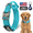Blue, variant on WAAYEEPAL Heavy Duty Nylon Dog Collar, Adjustable Training Collar with Control Handle, Sturdy Metal Buckle and AirTag Holder for Medium and Large Dogs (M, Black)