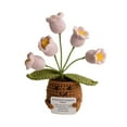 thumbnail image 1 of BKER Mini Positive Crochet Potted Crochet Of The Valley With Positive Cards Inspirational Crochet Flower Pot Decoration Positive Crochet Toy, 1 of 1