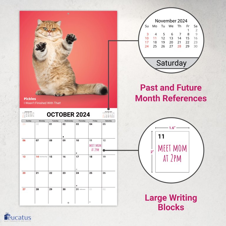 Calendário de parede mensal 2023 memes animais, 16 meses, 12 x 12  (LME3101023)