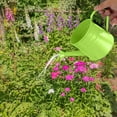 thumbnail image 4 of Qholemyo 1.5L Vintage Iron Metal Watering Can With Floral Decoration For Indoor Outdoor Garden Plants And Flower Pots, 4 of 6