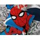 thumbnail image 5 of Juego de cama Marvel Spiderman Spidey VS, tamaño completo, 7 piezas, 5 of 6