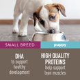thumbnail image 4 of Simply Nourish® Original Small Breed Puppy Dry Dog Food - Chicken & Brown Rice, 4 of 5