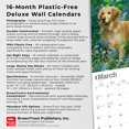 thumbnail image 6 of For the Love of Golden Retrievers | 2026 14x24" Wall Calendar | Plastic-Free, 6 of 9