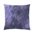 thumbnail image 1 of Ahgly Company Indoor Square Contemporary Throw Pillow, 18 inch by 18 inch, 1 of 5