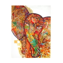 Oxana Ziaka 'Red India' Canvas Art