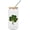 Style, variant on Happy St. Patricks Day Shamrock Glass Tumbler with Lids And Straws, 16oz Glasses Drinking Set, Iced Coffee Cups, Beer Glasses, Can Shaped Glass Cup for Juice, Coffee, Cocktail, Wine, Milk