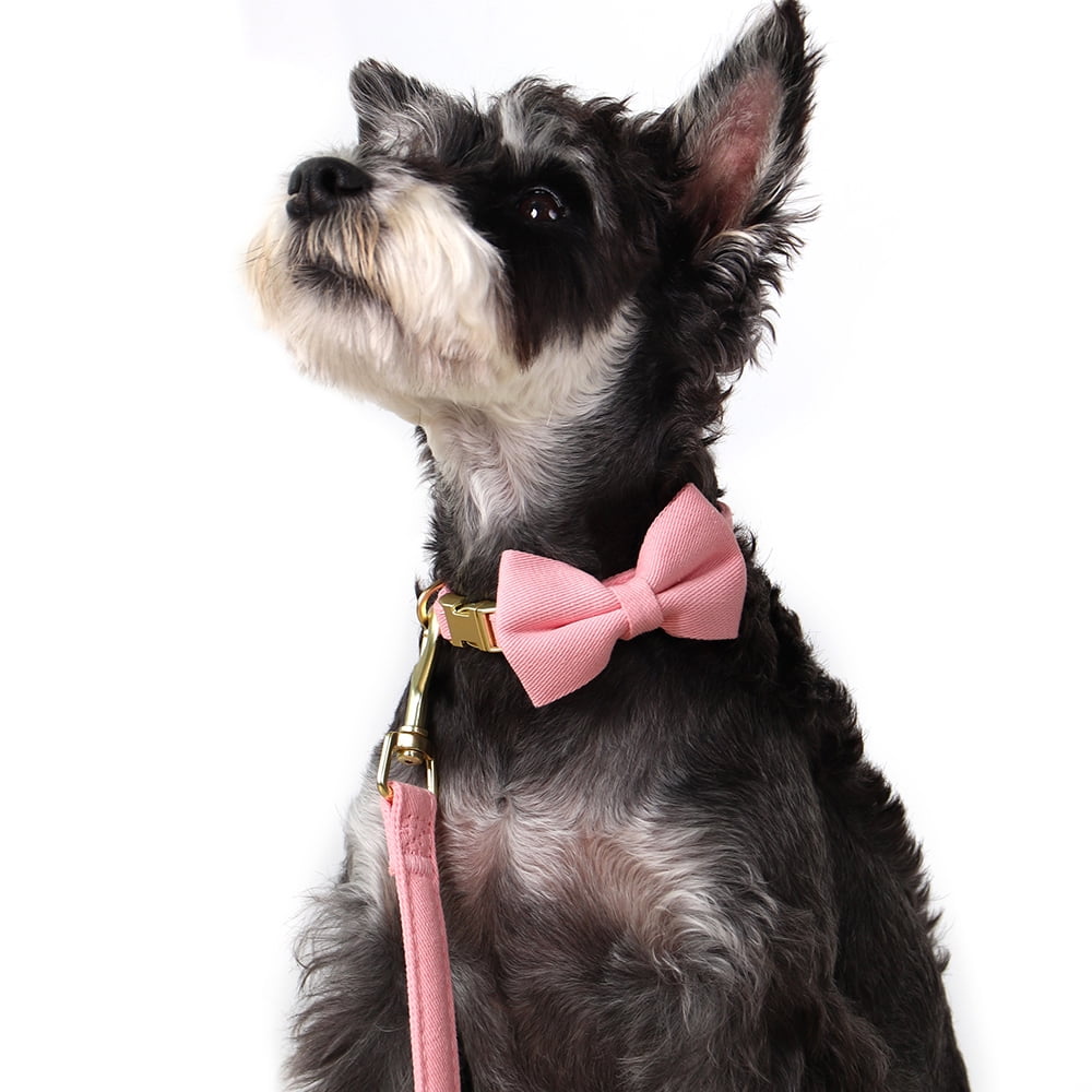 Pet Artist 4pcs Cute Bowtie Dog Harness and Collar and Leash and Poo Bag Holder Adjustable Pet Puppy Cat Vest